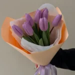 7 шт. Тюльпанов, в цветной упаковке