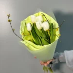 5 шт. Белые, Ветки Форзиции, цветная упаковка