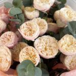 розы с эвкалиптом купить